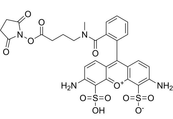 ATTO 488 琥珀酰亚胺酯