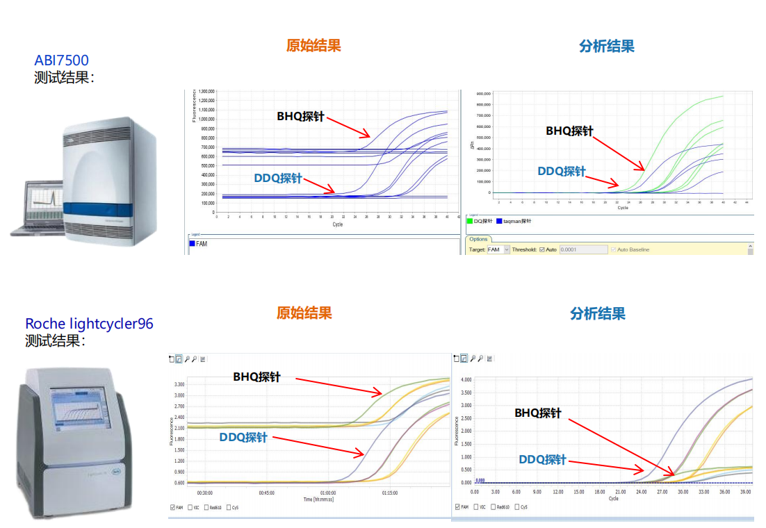 DDQ双萃灭探针.png