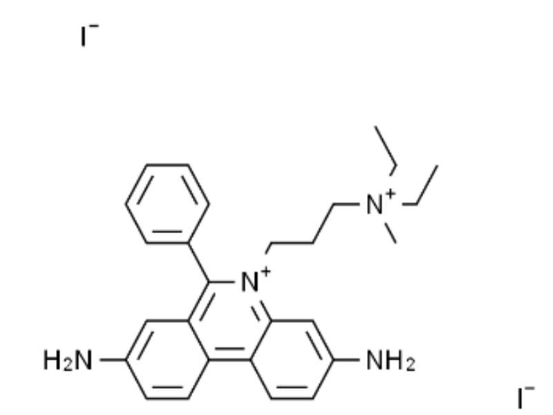 PI（碘化丙啶）