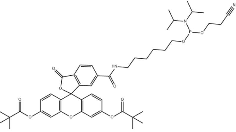 5'-FAM Amidite（中文：5'-FAM 亚磷酰胺）