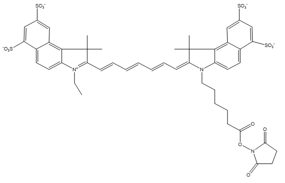 Sulfo-Cy7.5 NHS Ester