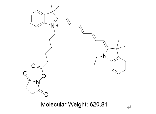 Cy7 NHS Ester