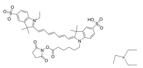 Sulfo-Cy7 NHS Ester