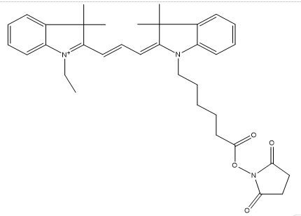 Cy3 NHS Ester