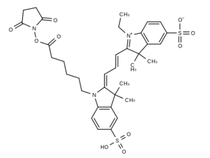 Sulfo-Cy3 NHS Ester