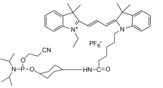 CY3 Amidite