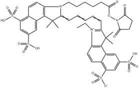 Sulfo-Cy5.5 NHS Ester