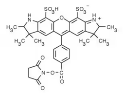 AF 532 NHS Ester