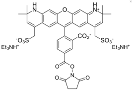 AF 568 NHS Ester
